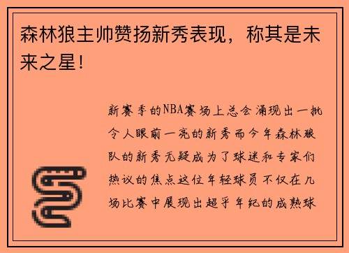 森林狼主帅赞扬新秀表现，称其是未来之星！